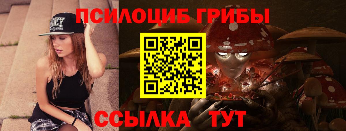 Псилоцибиновые грибы Cubensis  Галлюциногенные грибы прущие грибы  Можга  Вход с VPN 